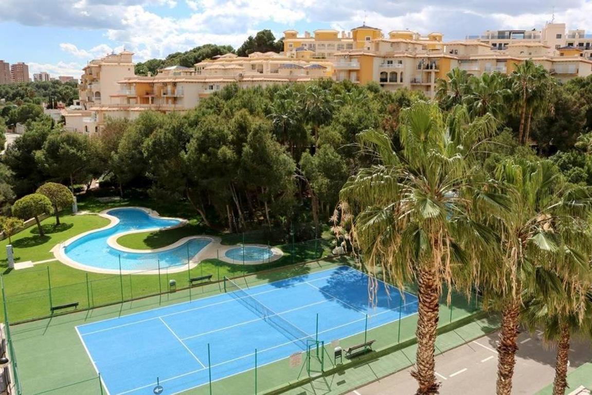 Altos de Campoamor Winter